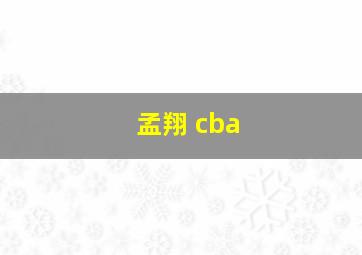 孟翔 cba